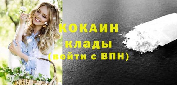 ПСИЛОЦИБИНОВЫЕ ГРИБЫ Магас